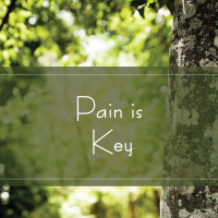 Pain is Key TAK 252